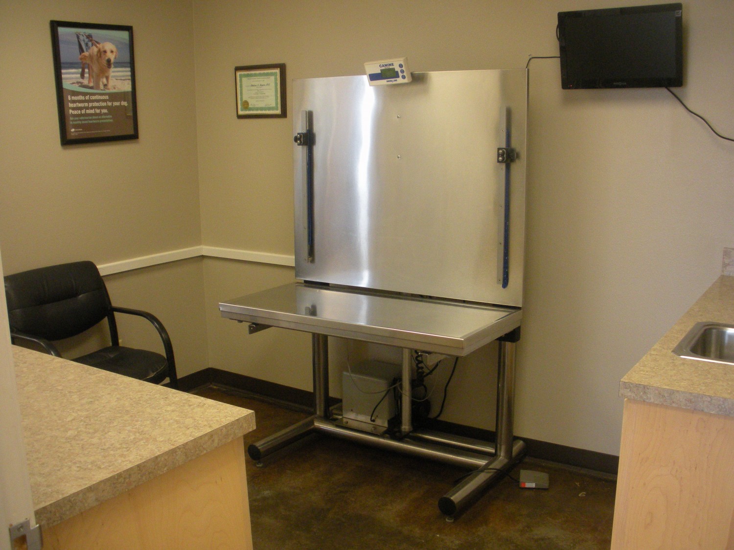 Ozark Animal Medical Center - Heber Springs, AR -Canine Exam Room