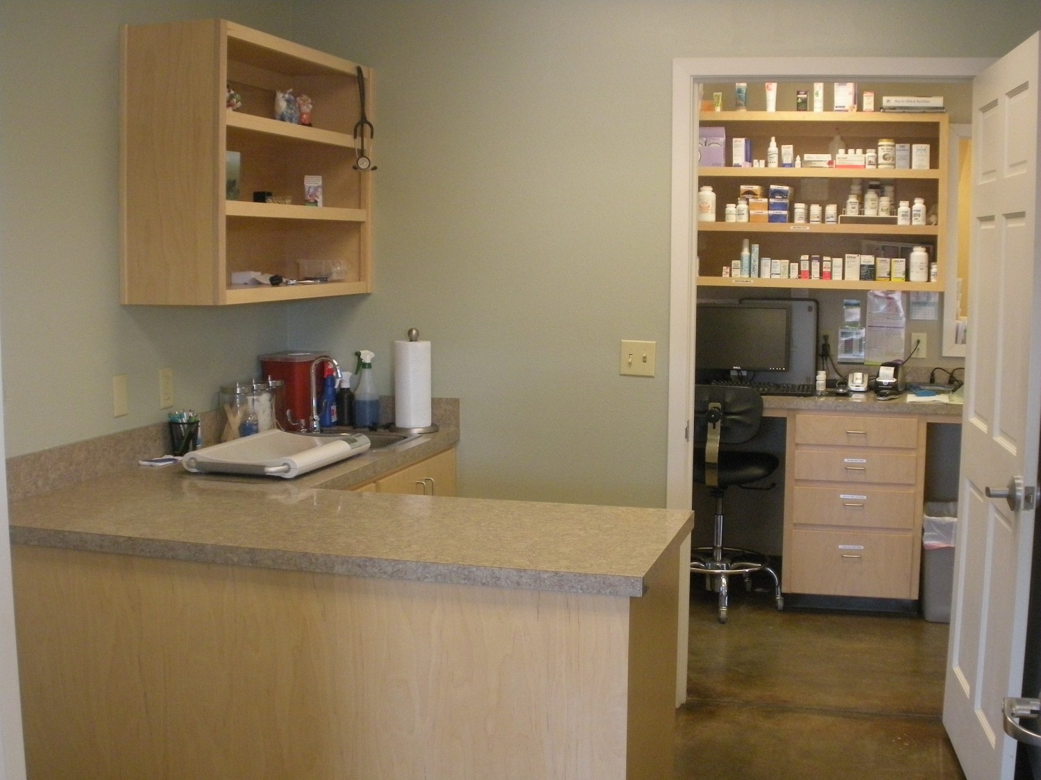 Ozark Animal Medical Center - Heber Springs, AR -Feline Exam Room