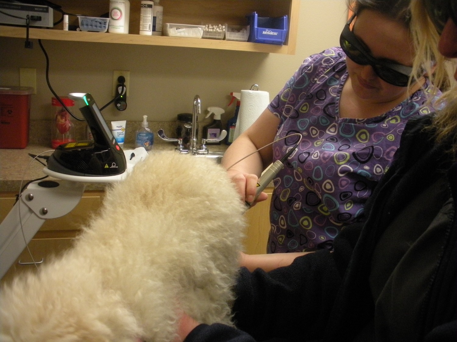 Laser Therapy - Bradley Self, DVM